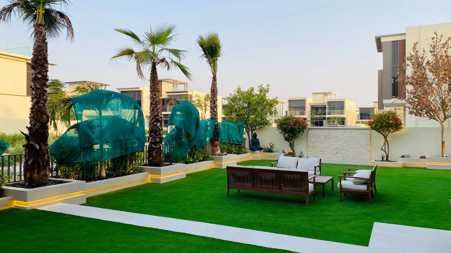 Care Guide for Washingtonia Palms in the UAE