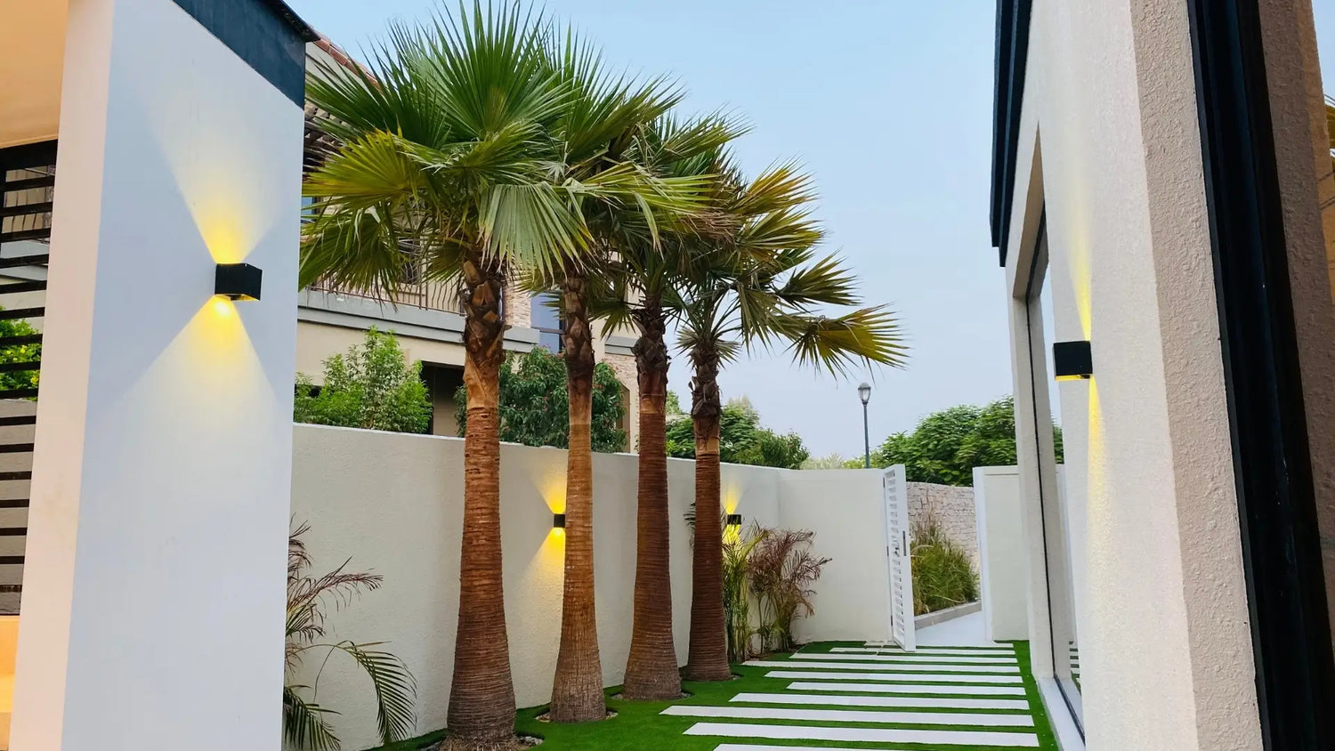 Top Reasons to Choose Washingtonia Palm for Your Garden in Dubai
